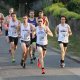 Gallery 3 | Valley Striders